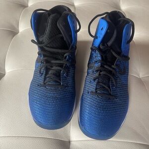 Air Jordan 31 Royal